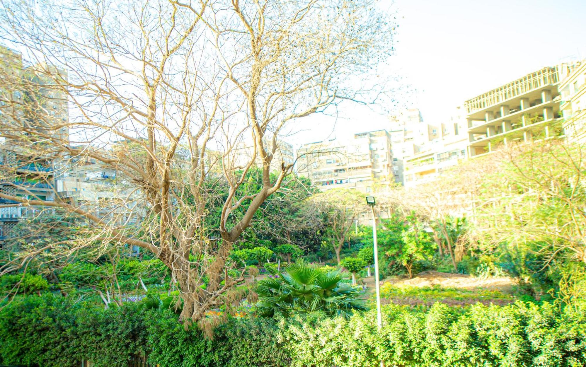 Elegance Tower Lejlighedshotel Giza Eksteriør billede